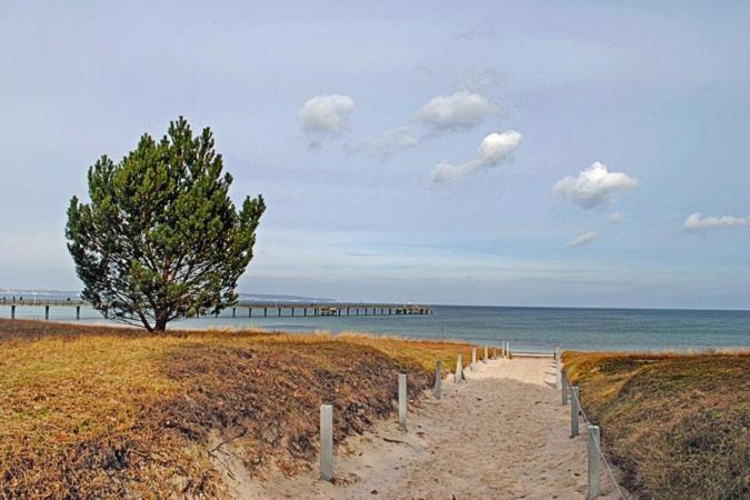 Strandvilla Freia 19 - Lage Hinter Dune Und Apartment Binz